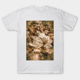 Fallen Sycamore Leaf T-Shirt